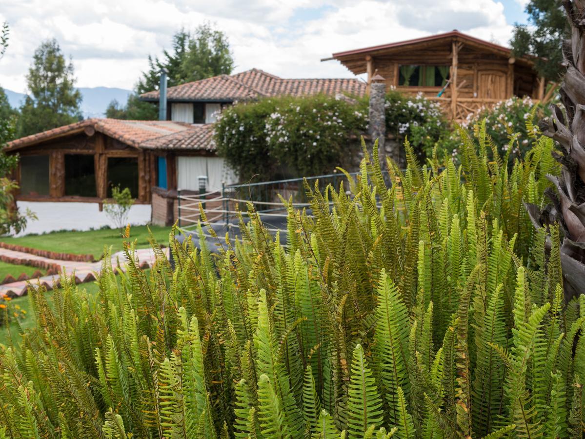 Puembo Zaysant Ecolodge מראה חיצוני תמונה