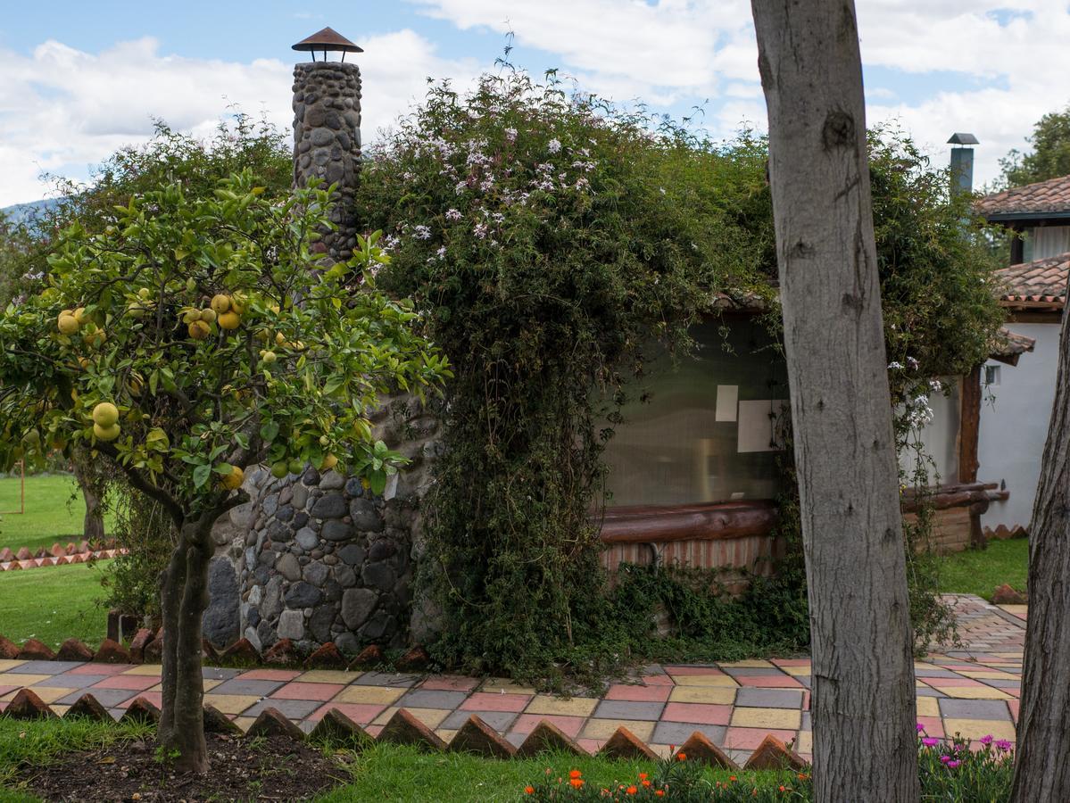 Puembo Zaysant Ecolodge מראה חיצוני תמונה